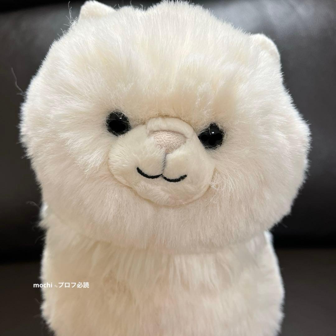  Carissa Persian Cat ねこぬいぐるみタグなし