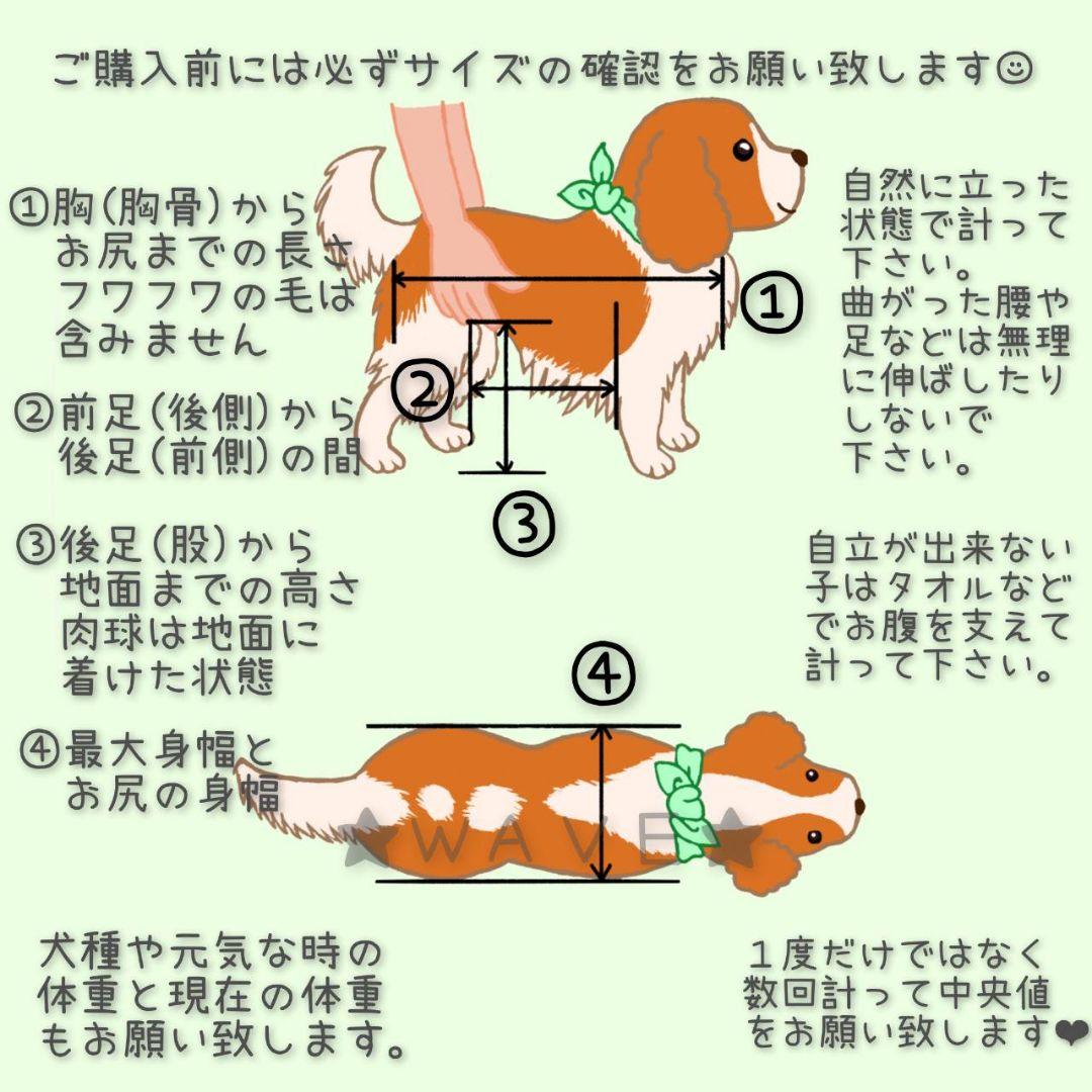 りく　犬用車椅子　犬の歩行器　歩行サポート　犬の車いす　シニア犬　ダックス