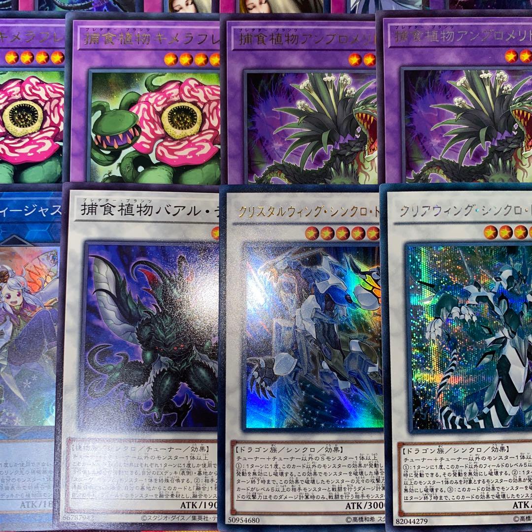 【2161】遊戯王　捕食植物デッキ　プレデタープランツcs優勝構築超逸融合　大会