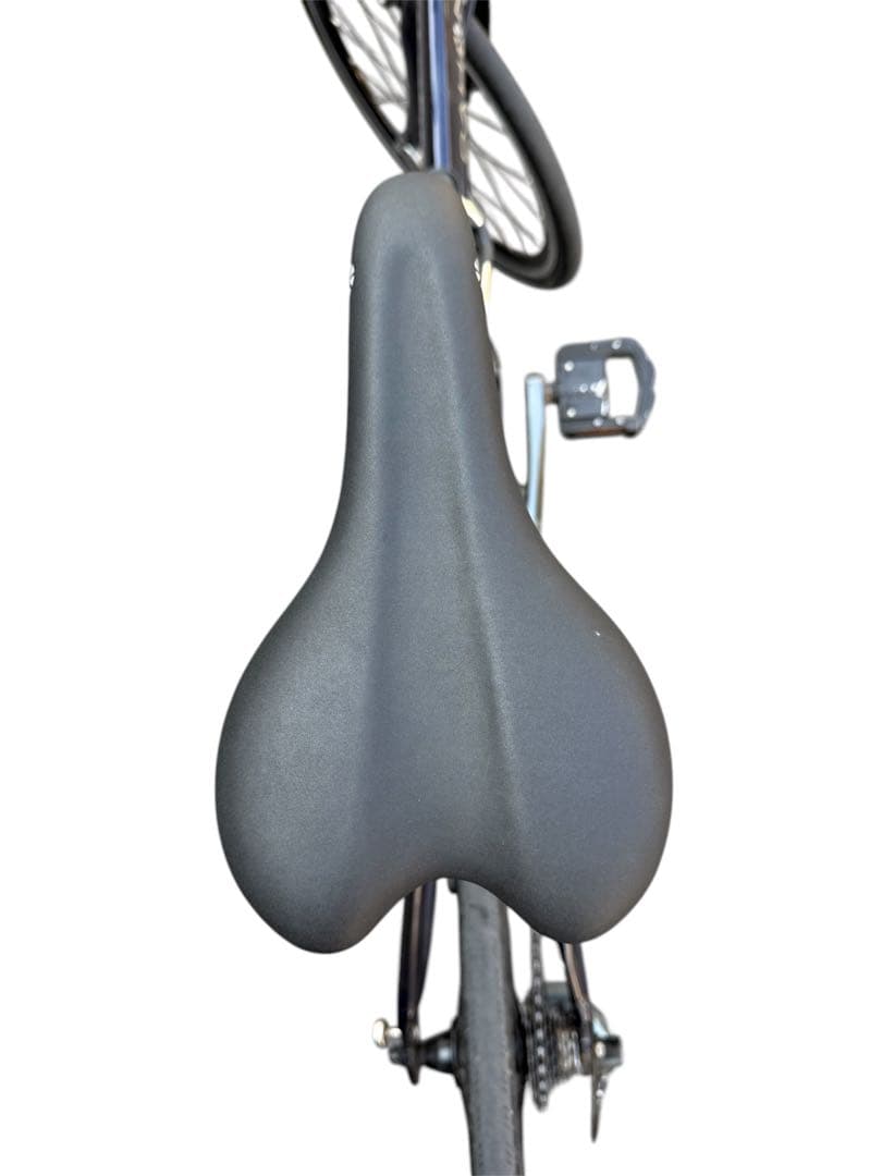 DAHON Visc Pro 美品