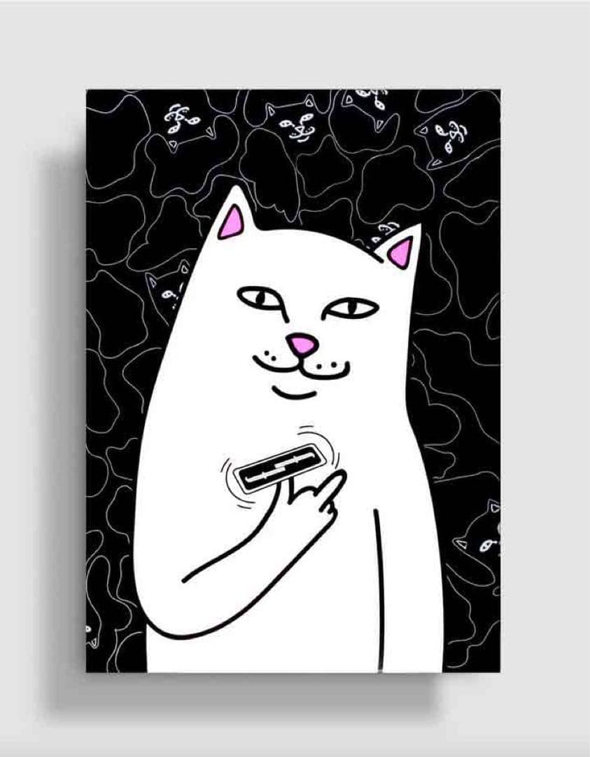 Fontaine RIPNDIP V1 & V2 保護ケース付き レアデック