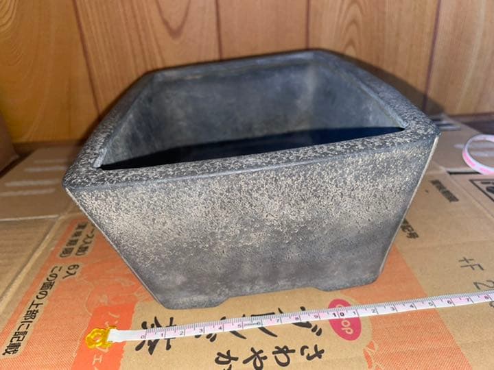 鴻陽　盆栽鉢　植木鉢