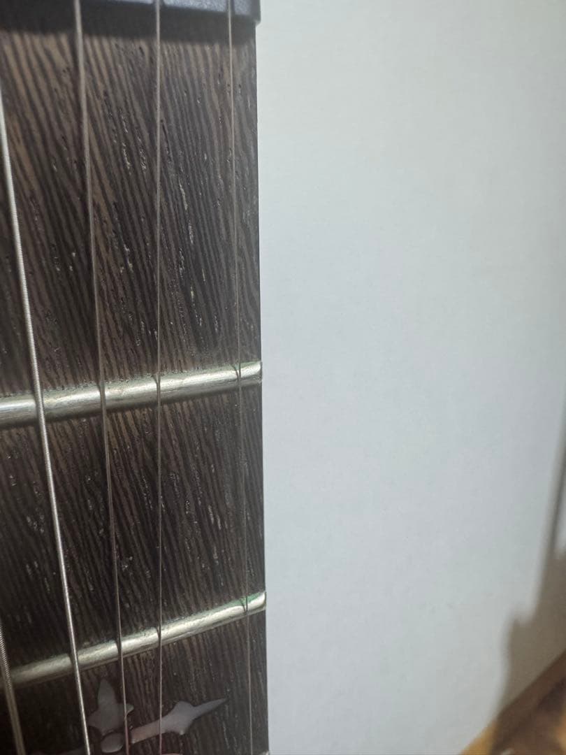 schector　demon6