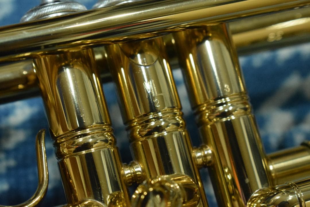 Bach TR Series TR-600 GL 状態良好 ハードケース付属