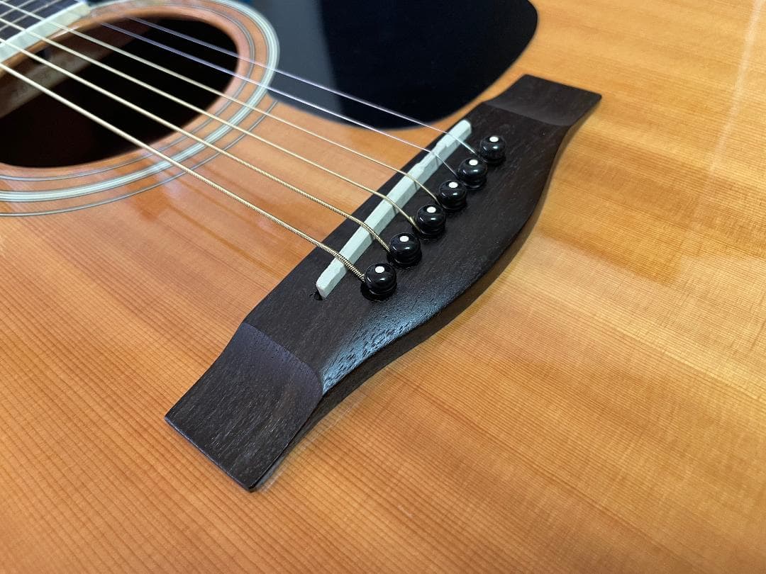 ギター YAMAHA DW-5S