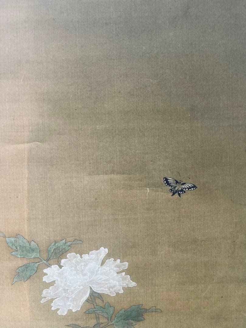 掛け軸　狩野常信 猫圖