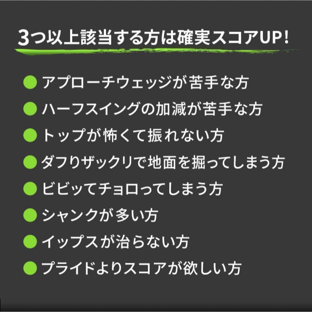 ★本気で100切りたい人へ★ ダイナミクス ツアー チッパー & パター セット