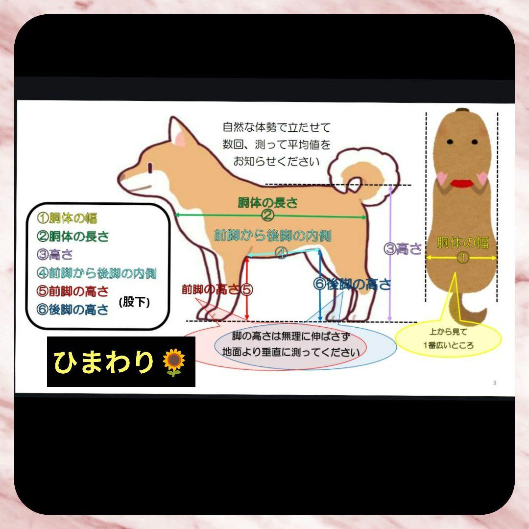 ミックス犬4輪　リハビリ　食事補助　犬用車椅子　介護用　犬の歩行器