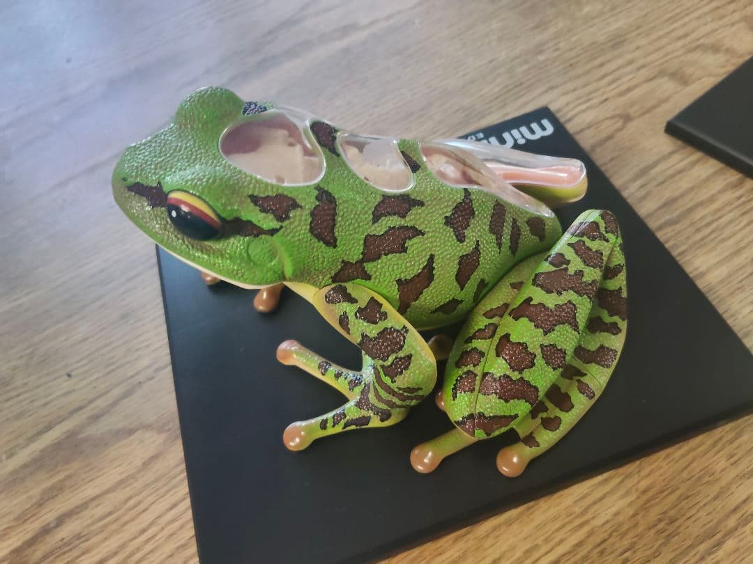 動物解剖モデル フィギュア　カエル　カタツムリ　立体パズル