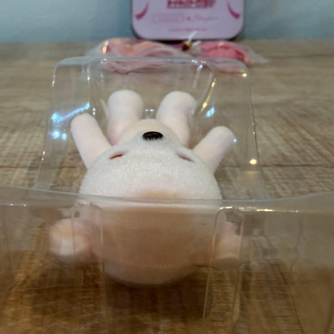 【美品】ハニーベア　カードキャプターさくら
