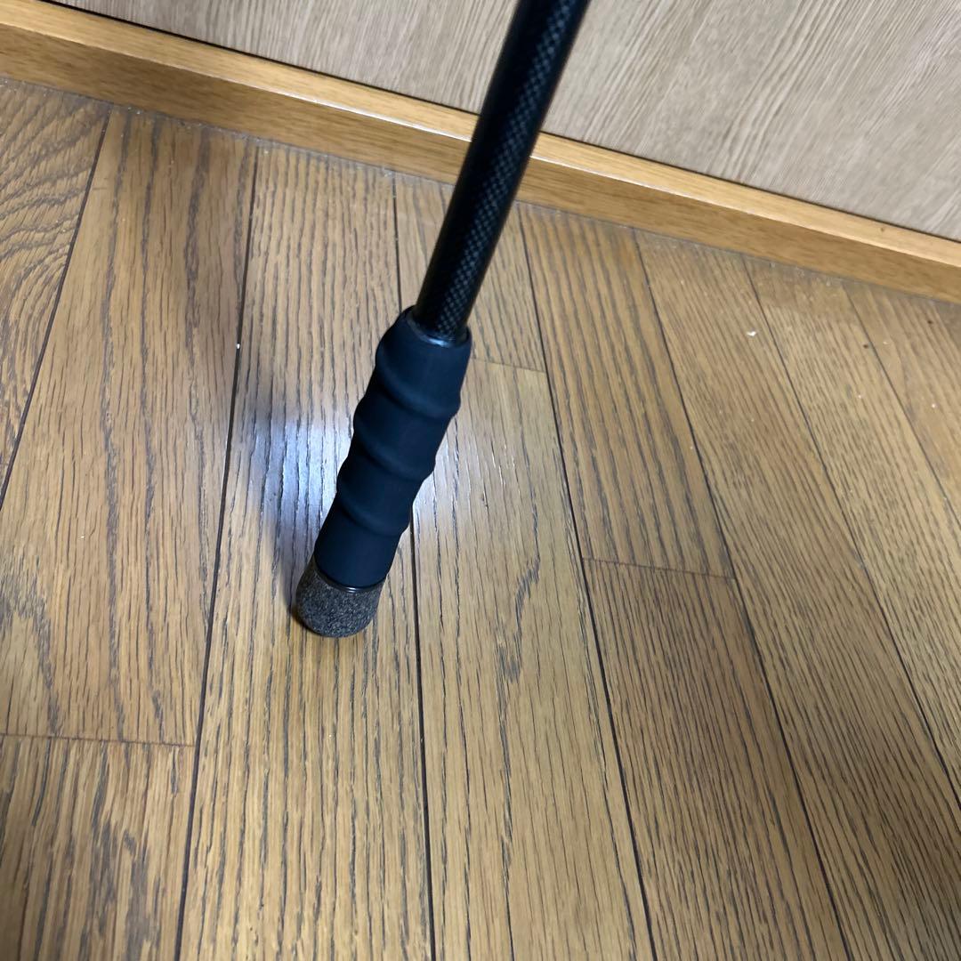 専用　穂先補修後、デジーノスラング　ハングアウト　バラムセット