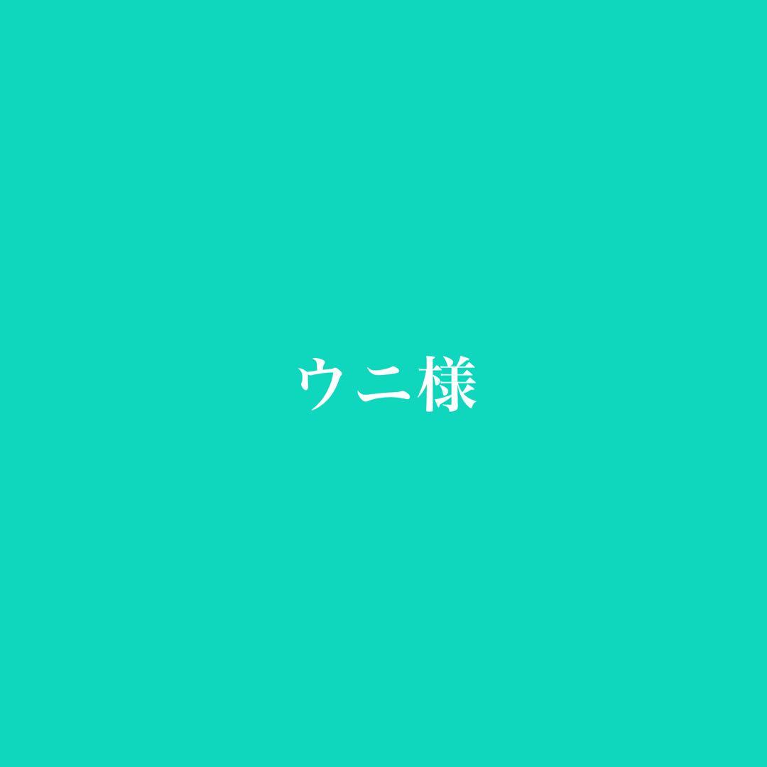 ウニ／クロウニ棘付き標本5個　No.157