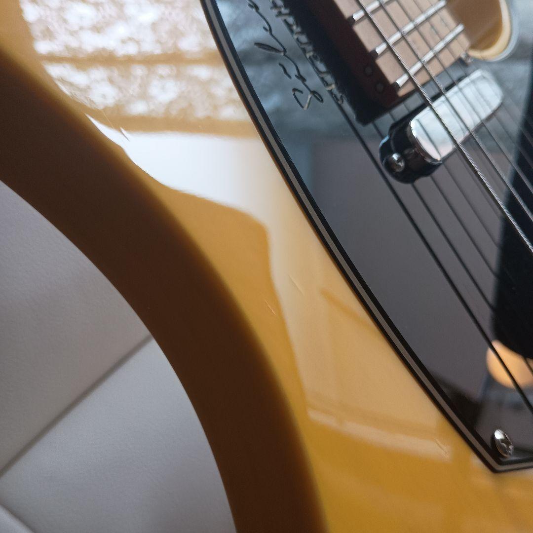ギター .strandberg* Salen Classic