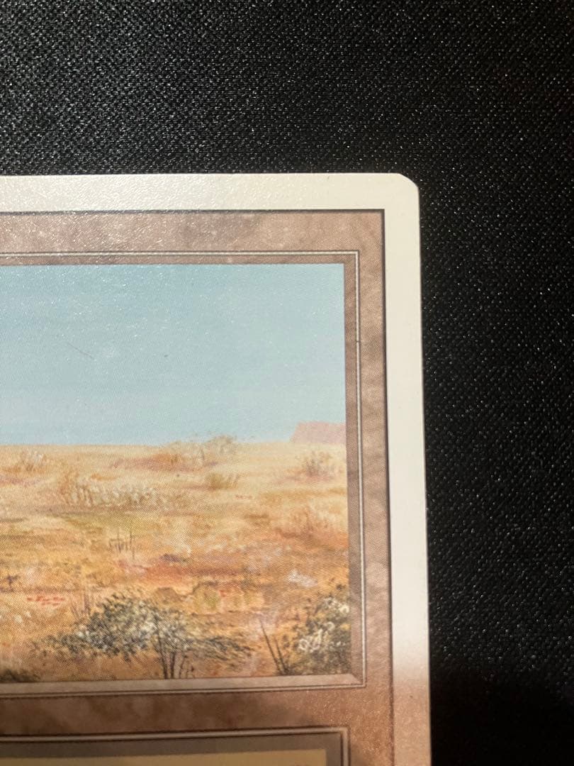 たこぶえ　Scrubland Badlands 各1枚