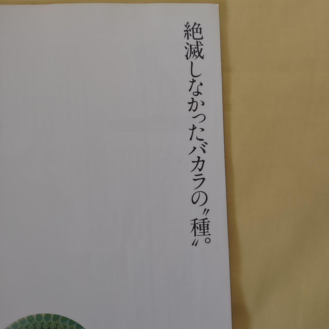 【世界175個限定】バカラ　ペーパーウェイト　花　ラッティチーノ　1984年
