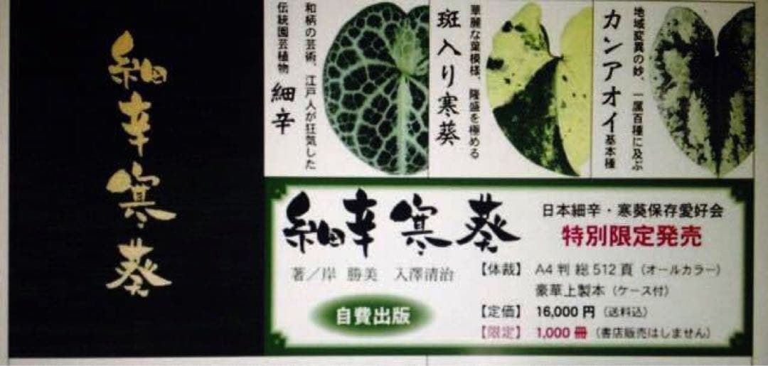 専用　11冊