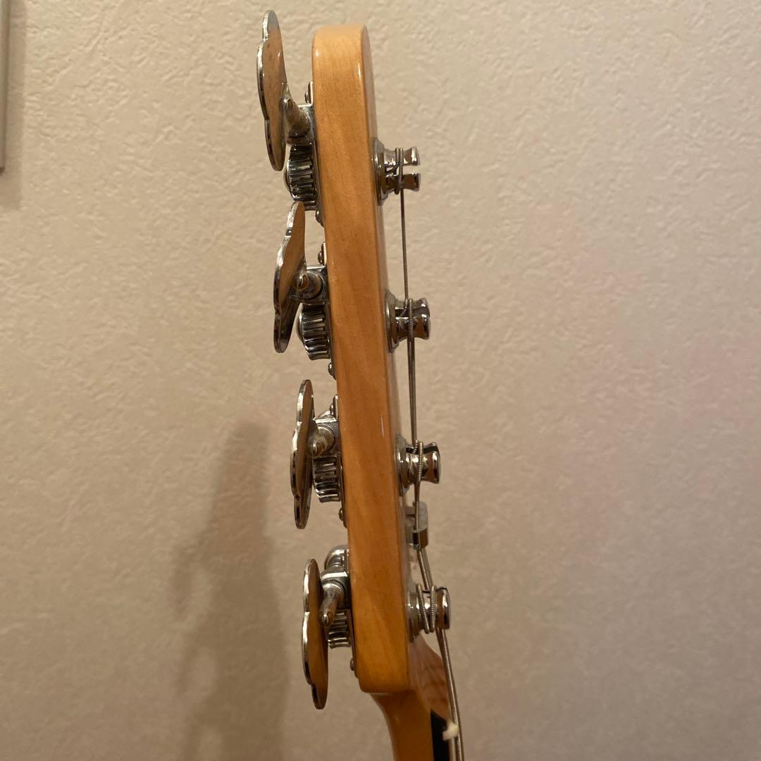 ベース sire v7 vin ash-4nt