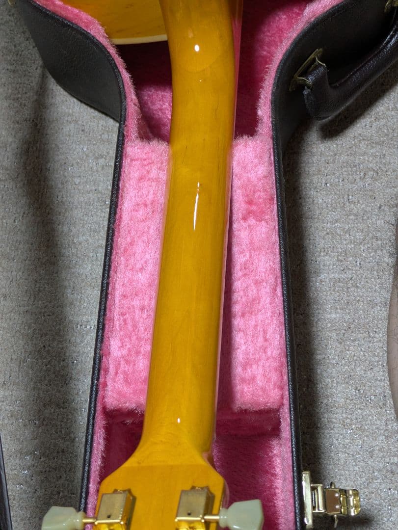 FERNANDES　BURNY RFA-65　フルアコ エレキギター