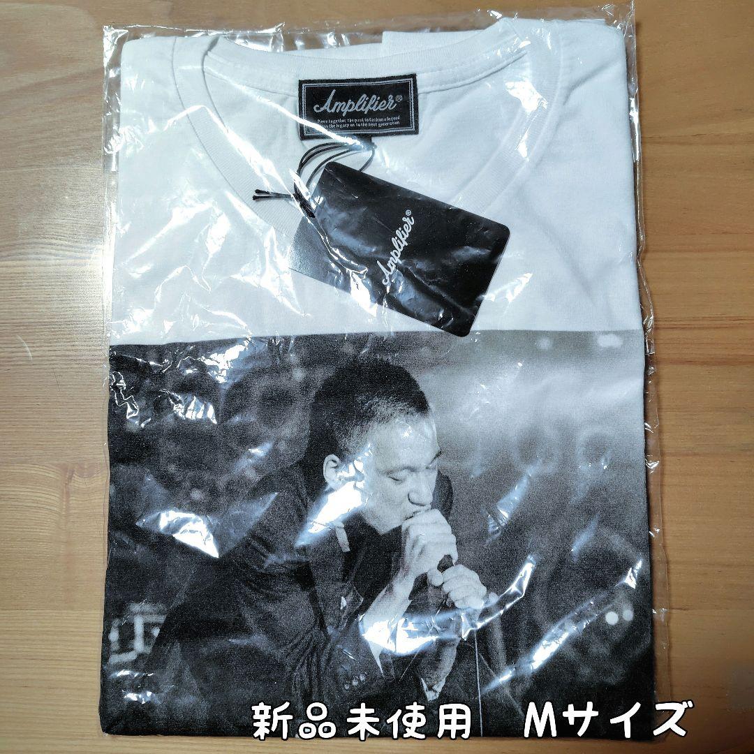 甲本ヒロト Amplifier 【新品】