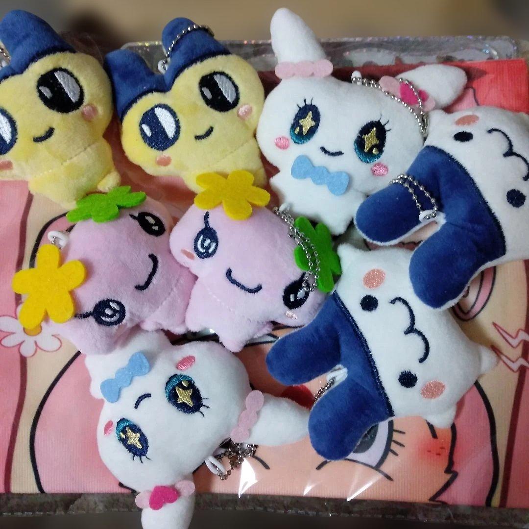 さかも