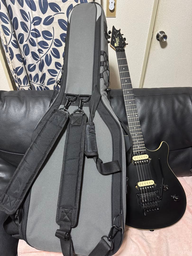 氏のために予約されています egusan33 EVH Wolfgang Sp
