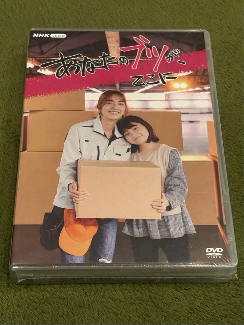 あなたのブツが、ここに　DVD