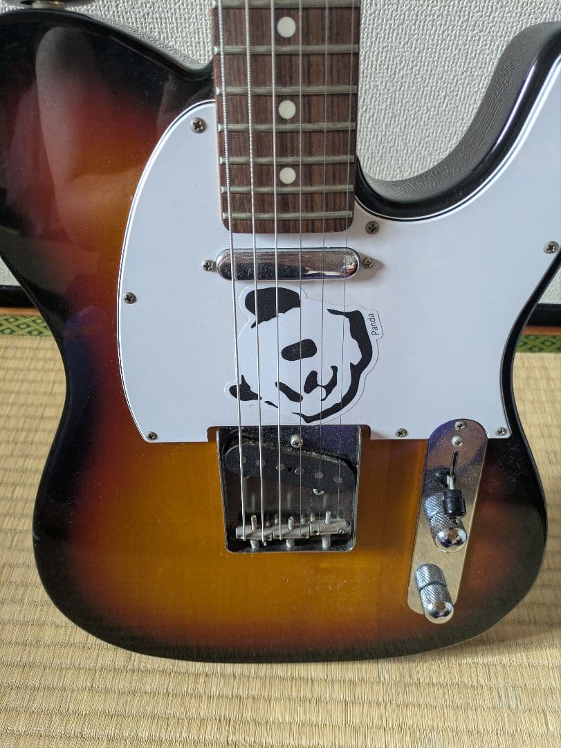 ギター FUJIGEN JTL-5R