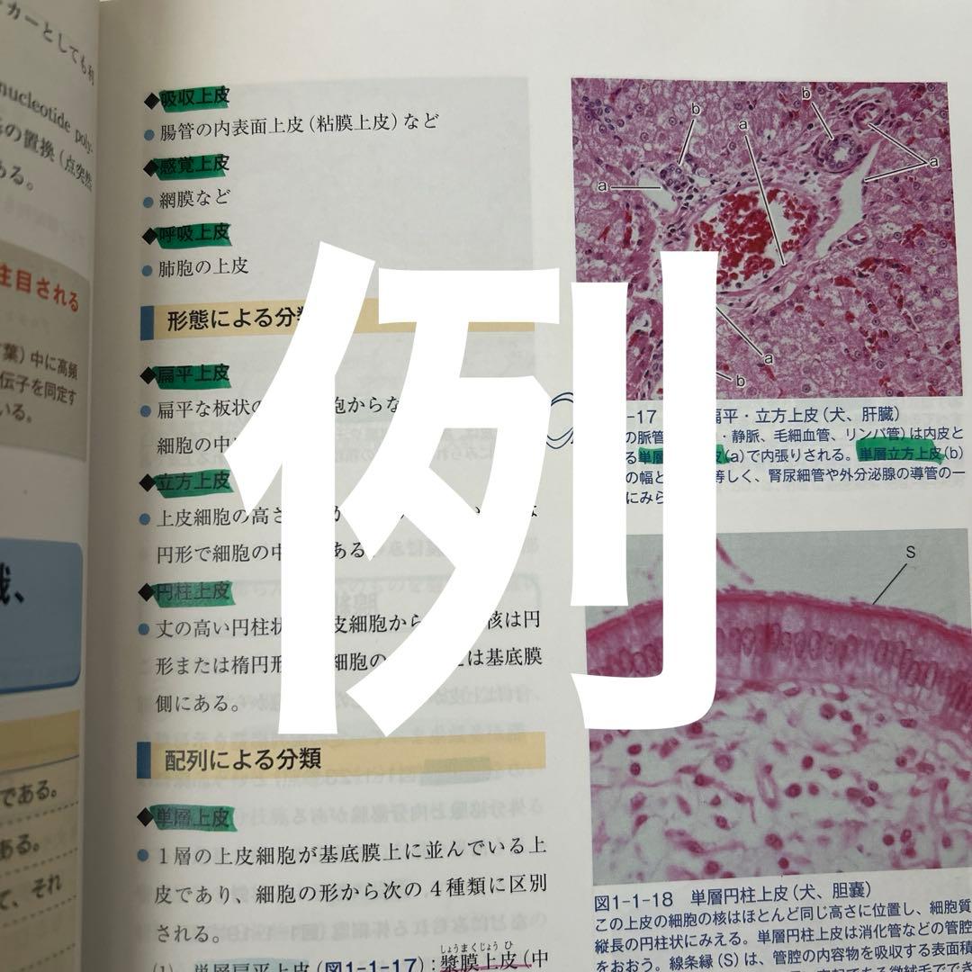 愛玩動物看護師カリキュラム 教科書