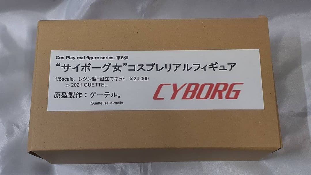 サイボーグ女・コスプレリアルフィギュア　レジン製　組立てキット　ゲーテル。