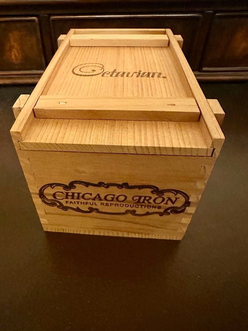 ギター CHICAGO IRON Octavian