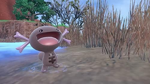 ポケットモンスター バイオレット -Switchpo