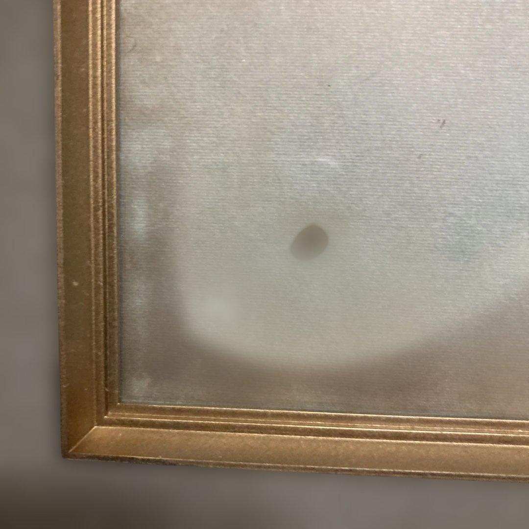 激レア 木版色摺 長谷川小信 「金魚」額約41×38色紙27×24cm