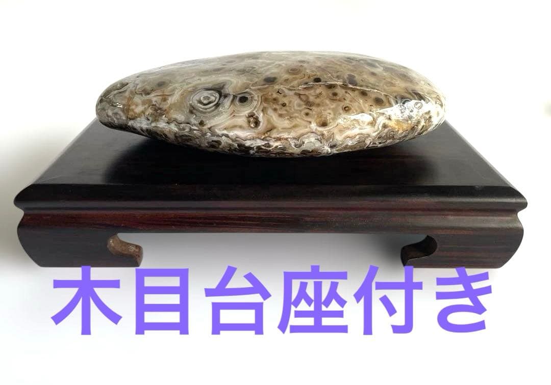 【デカい‼️】オーシャンジャスパー or ツリテラアゲート21㎝×26㎝×6㎝