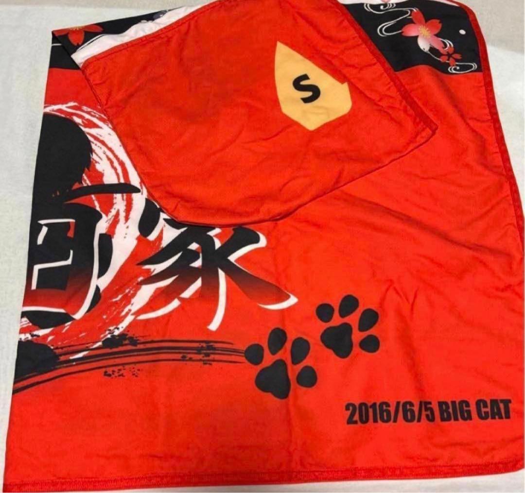 浦島坂田船　あほの坂田　となりの坂田