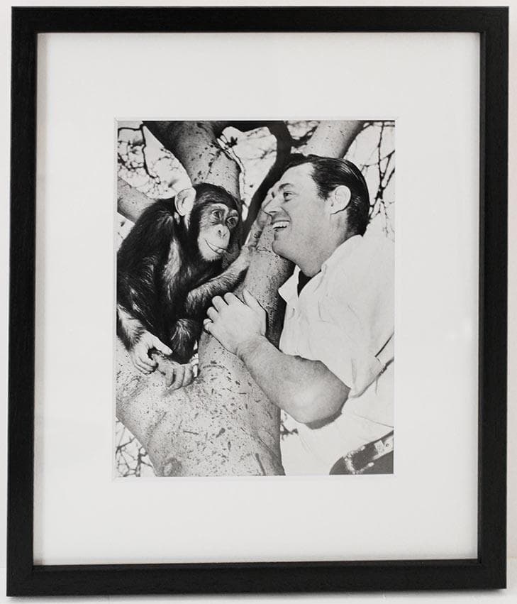 写真 ジョニー・ワイズミュラー　ターザン　ヴィンテージフォト