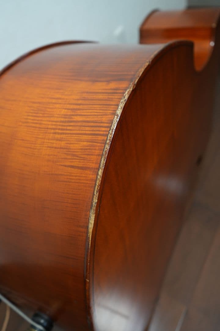 オール単板 GLIGA Gems Ⅰ Gamba Shape Flat Back