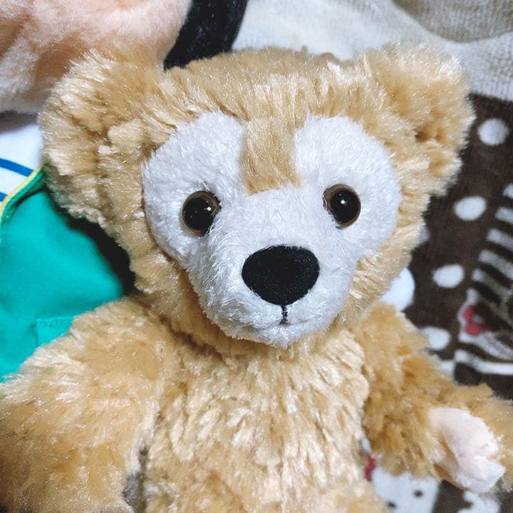 ダッフィーのワンダフルヴォヤッジ ぬいぐるみ