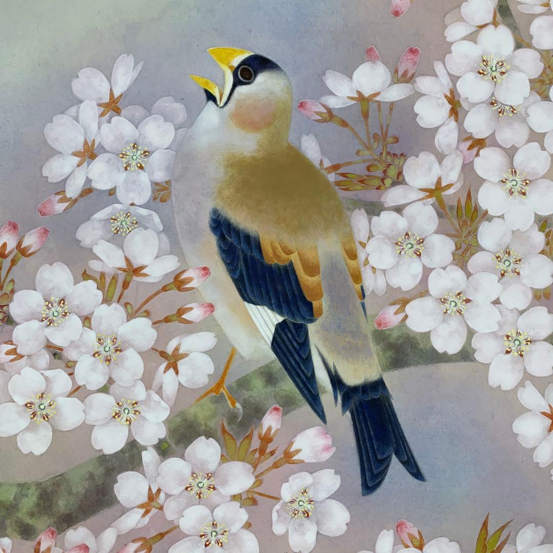 美品 掛け軸 市原秀人作「春囀」桜花鳥 共箱 太巻き付 縁起物 美術年鑑掲載