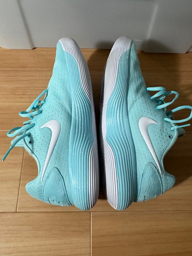 Nike ハイパーダンク　水色