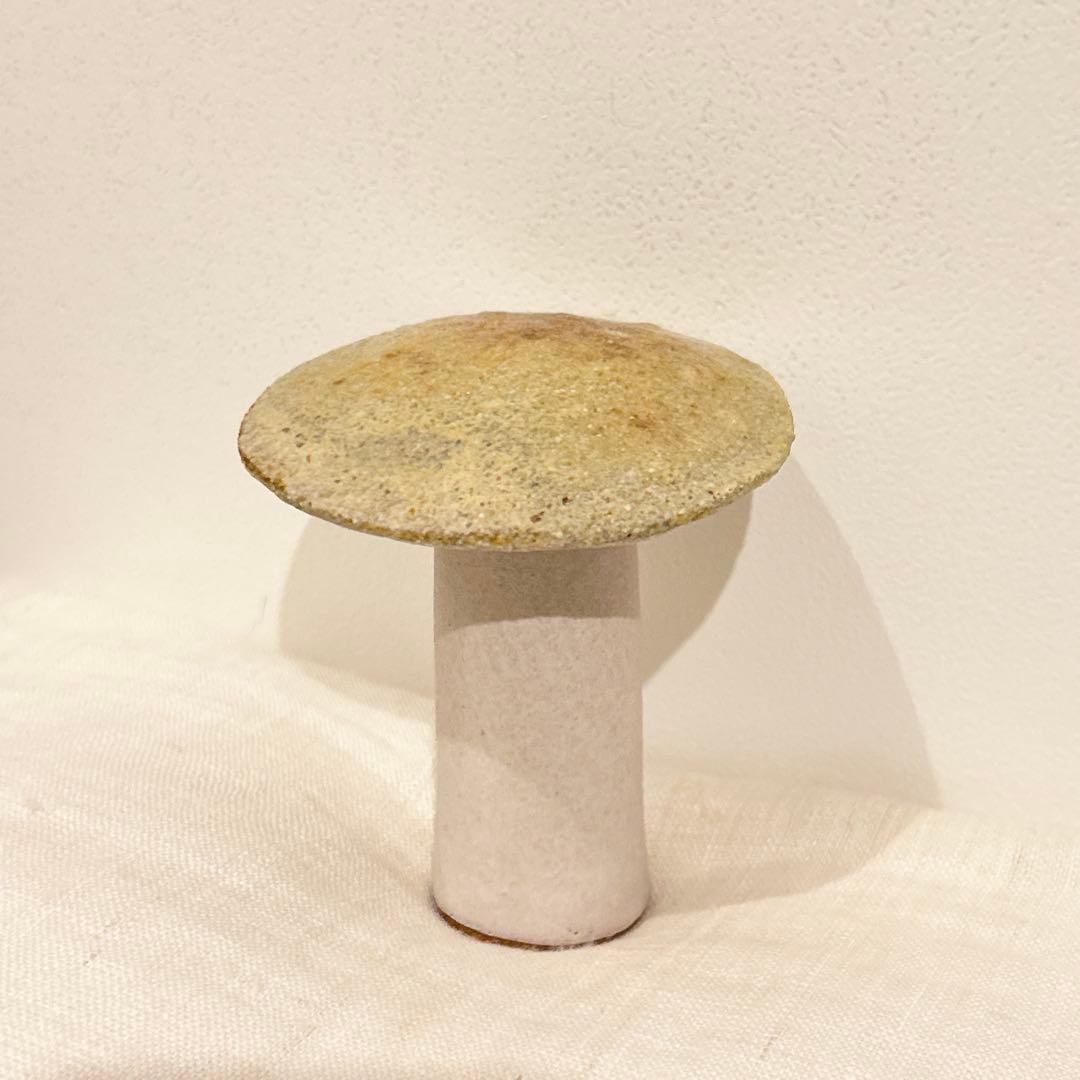 jane muir medium mushroom●mina perhonen