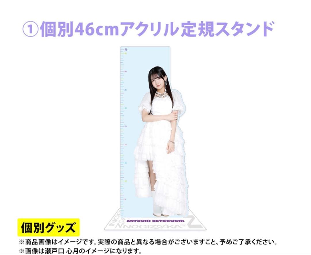 乃木坂46 2026年福袋A B C 19点　遠藤さくら