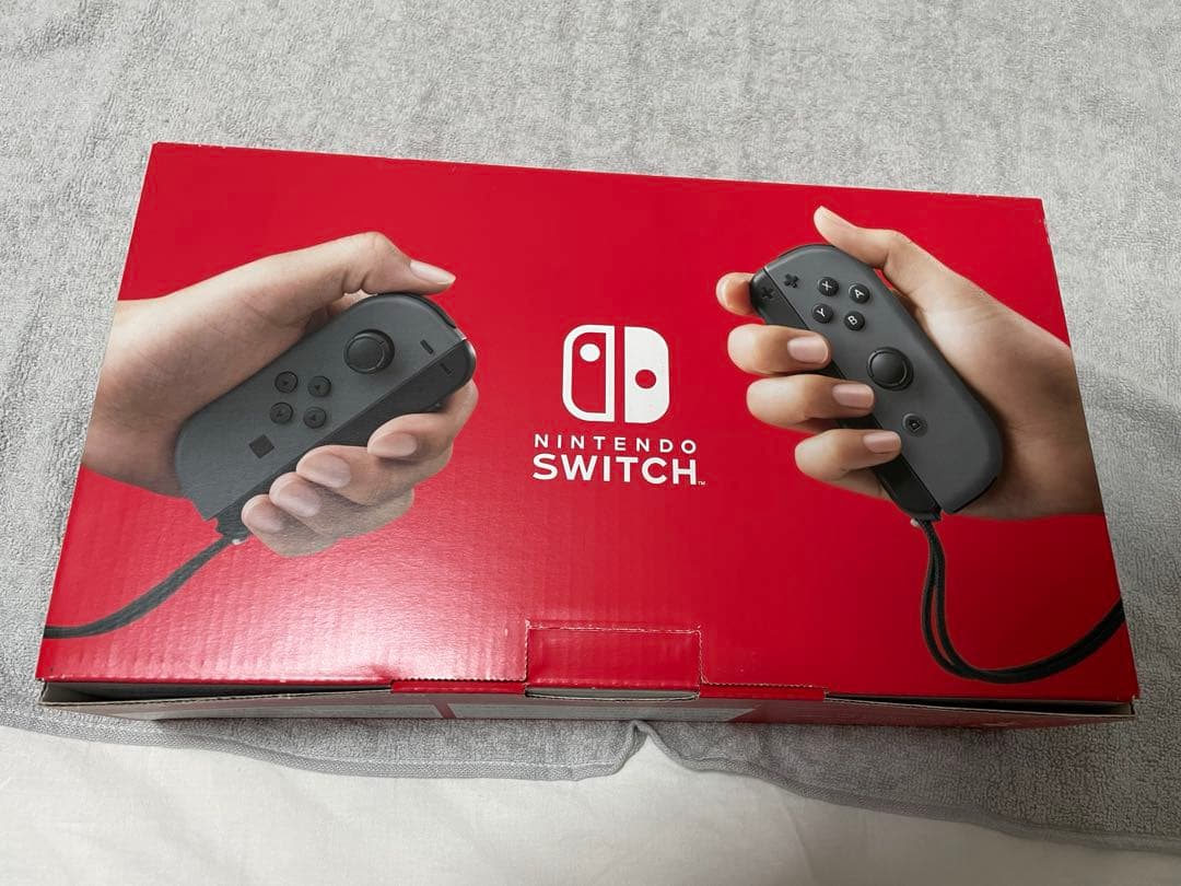 Nintendo Switch 本体 グレー おまけ付き　美品 即日発送可能