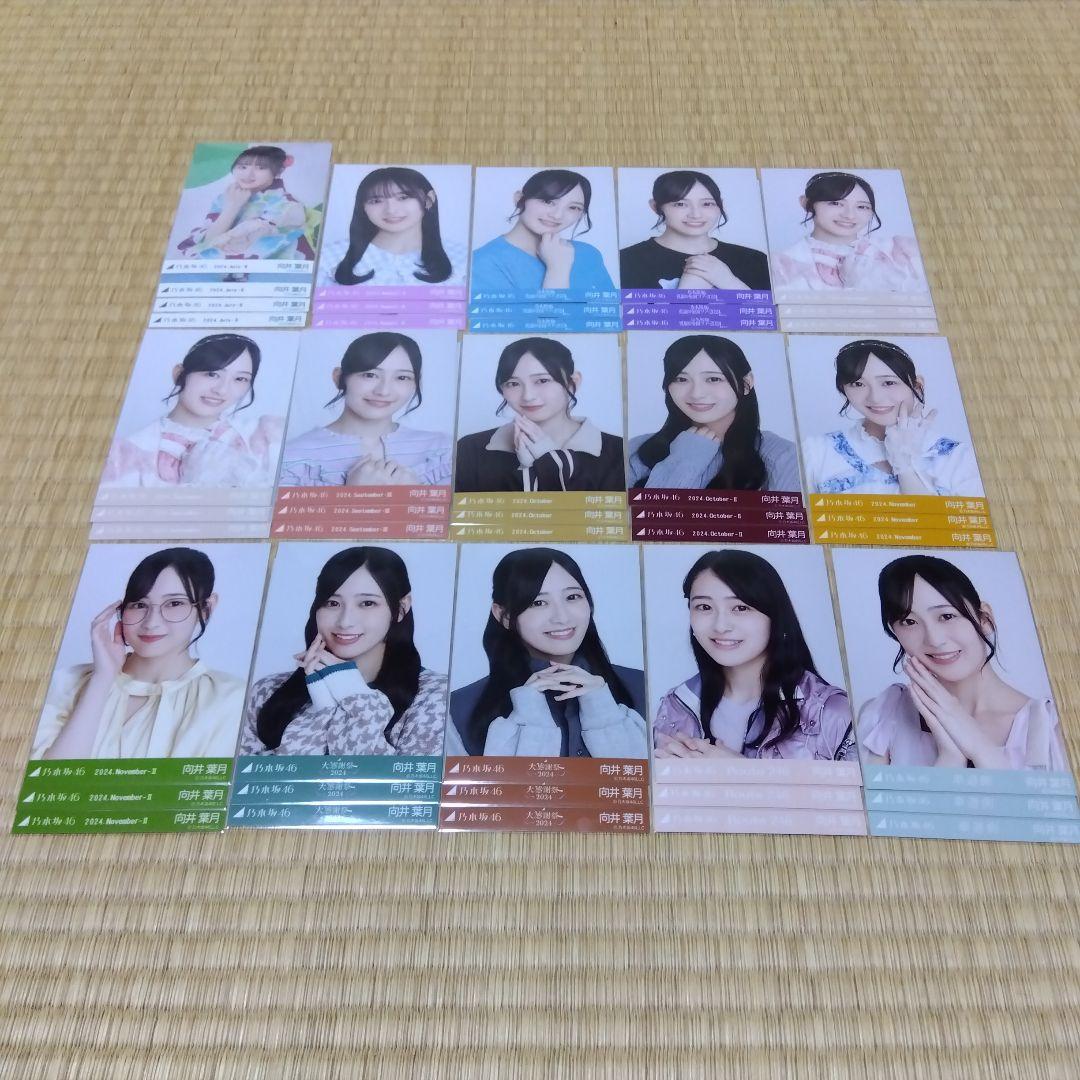 乃木坂46 向井葉月 生写真 コンプ まとめ売り