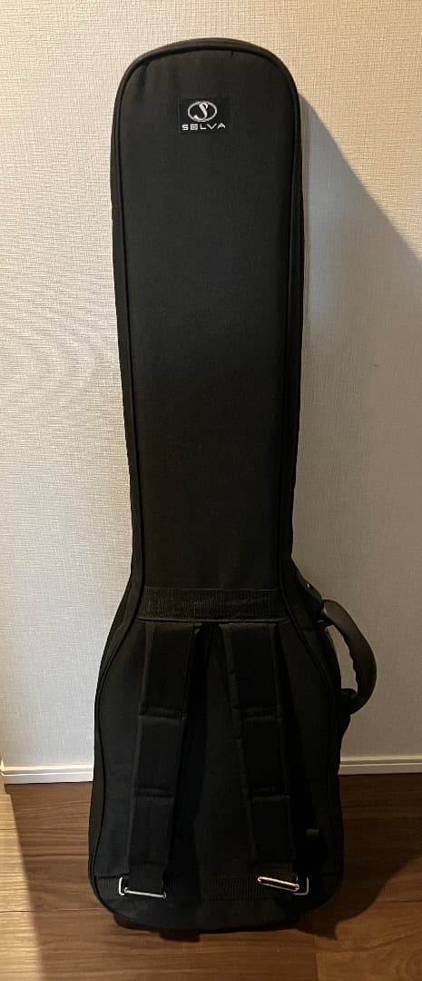 た*ぁ様 Bacchus GLOBAL SERIES エレキベース