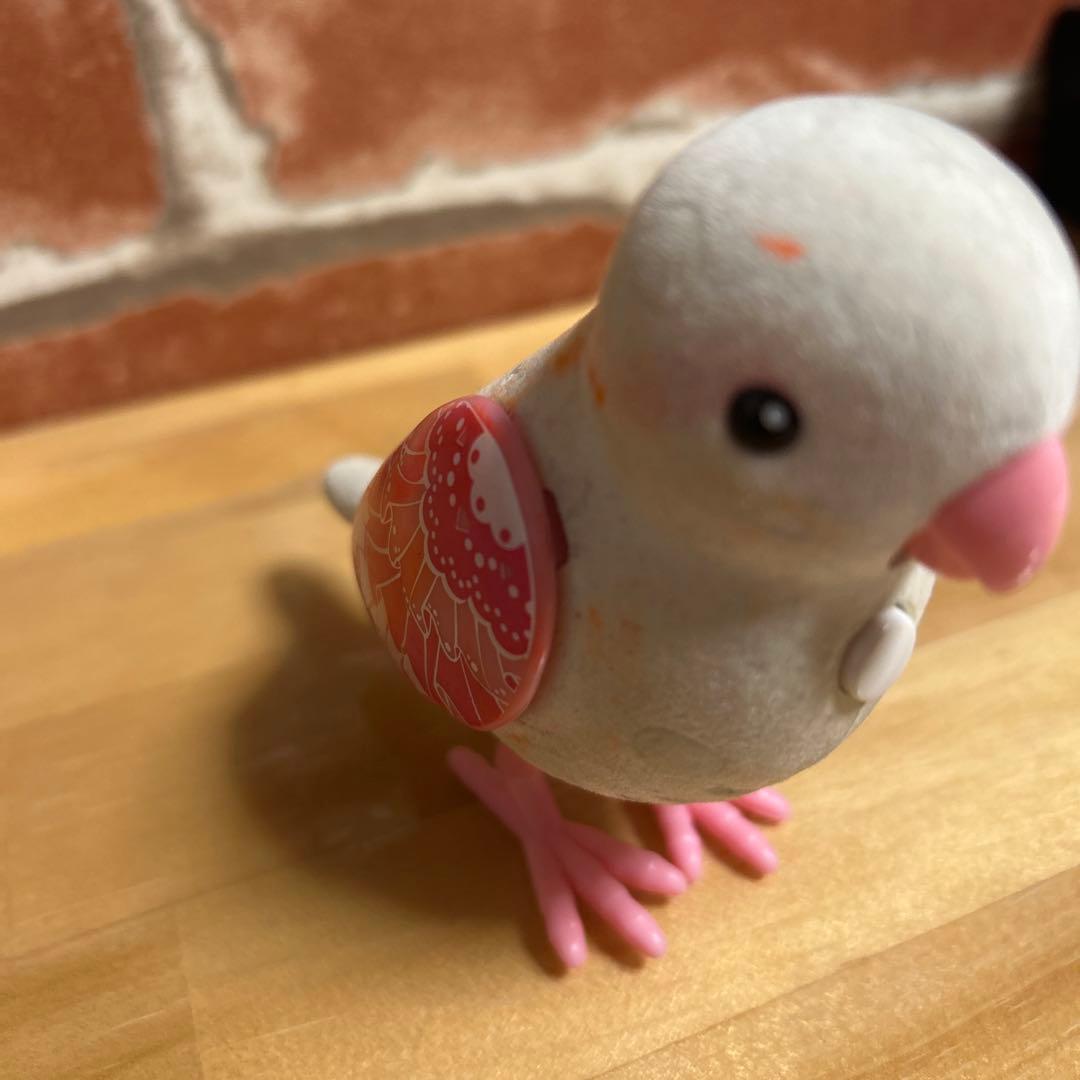 愛用していたインコです