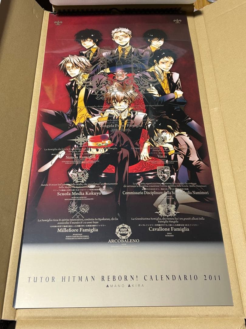 家庭教師ヒットマンREBORN！ カレンダー ポスター ボンゴレリング