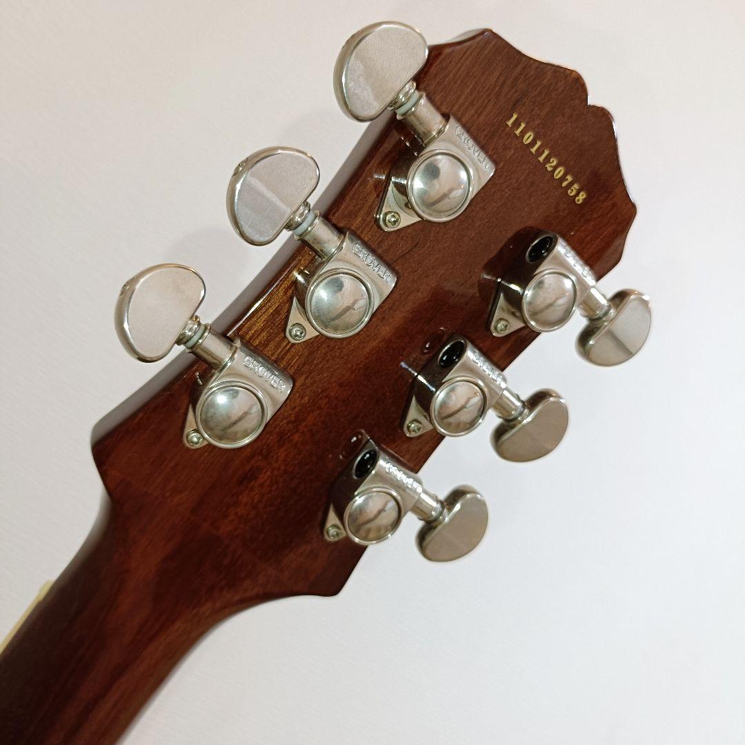 虎杢トップ｜Epiphone Les Paul Standard ハニーバースト