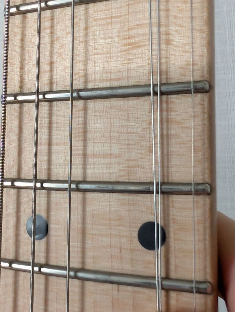 フジゲン Expert ODYSSEY EOS-ASH-M/SBB 中古
