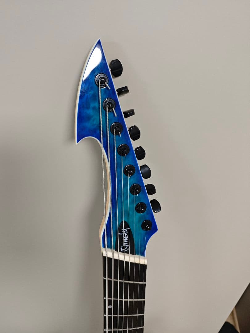 【価格応談】Ormsby hype GTR 8【8弦ギター】