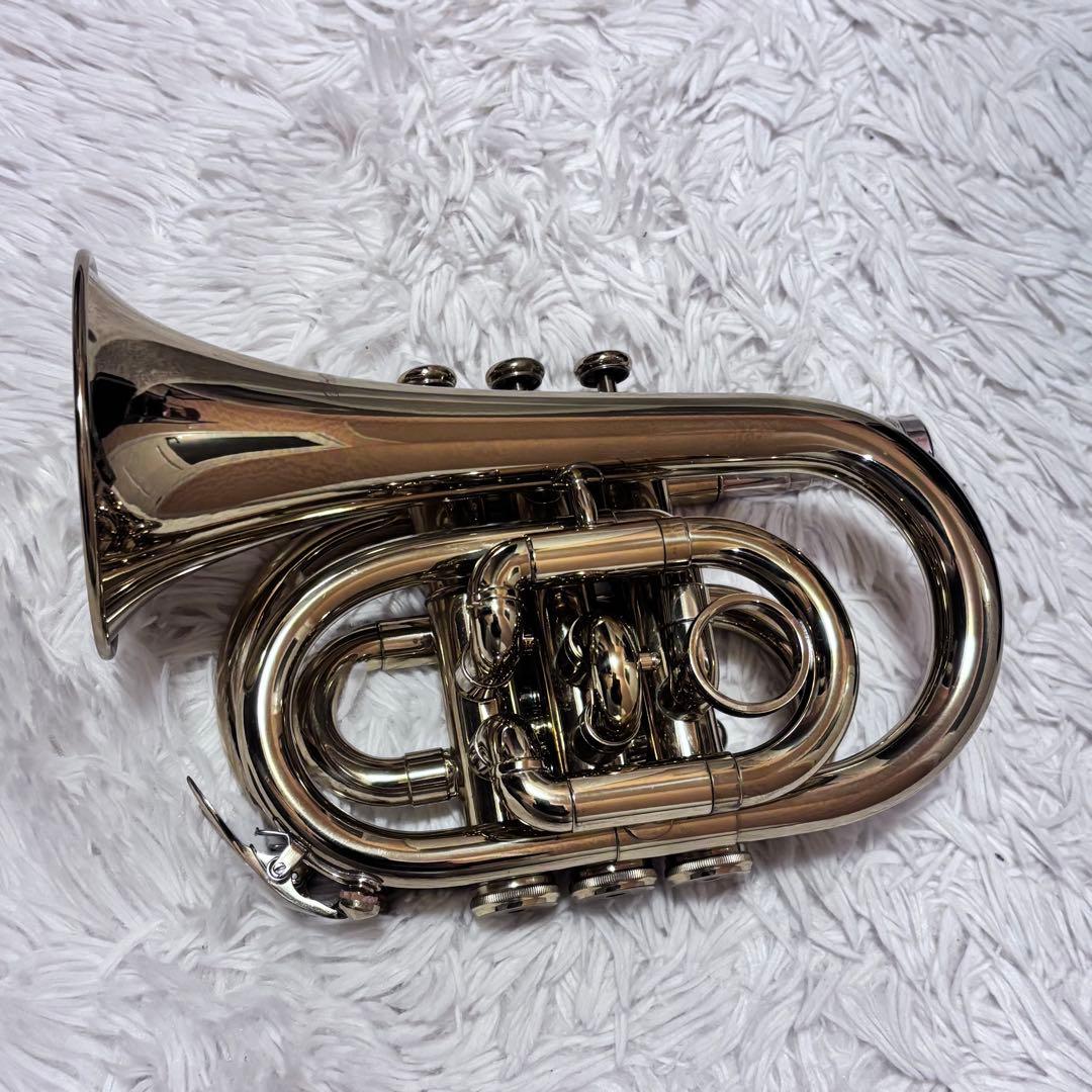 ポケットトランペット MPT100L Minerva ケース付き 金色　ラッカー